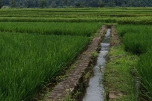 irrigation system
