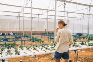 aquaponics kit