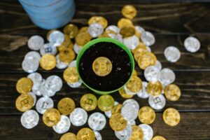 bitcoin investment