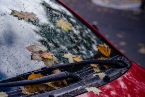 windshield replacement