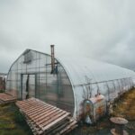 Essential Guide to Greenhouse Equipment for Optimal Growth