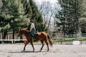 horse riding lessons